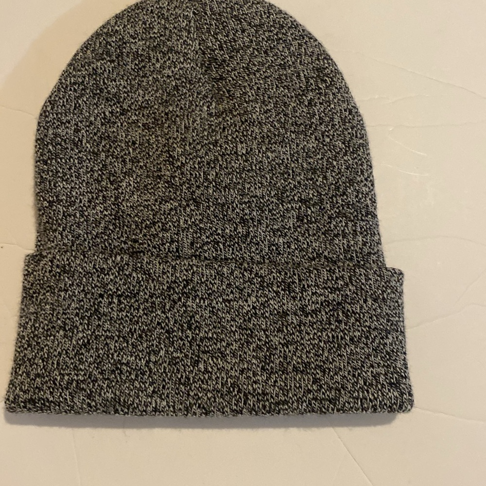 Eco fish research branded carhartt toque NWOT - Picture 2 of 4